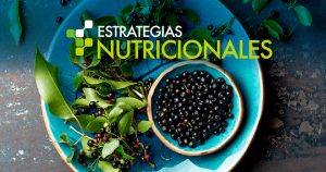Estrategias Nutricionales Maqui Antioxidantes