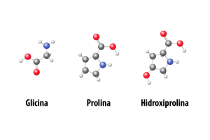 Aminoácidos Clave Glicina Prolina Hidroxiprolina