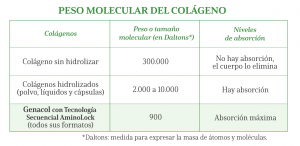 Peso Molecular del Colágeno