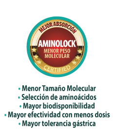 AminoLock Peso Molecular
